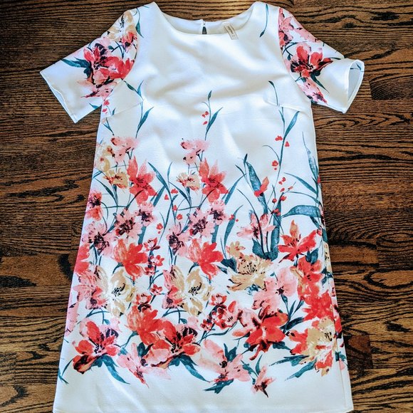 Anthropologie Dresses & Skirts - 💋Anthropologie Peppermint Shift Dress - Lined Small